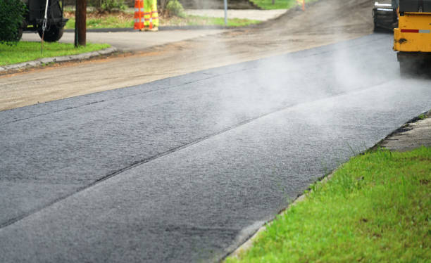 Best Driveway Paving Contractor  in Allendale, SC